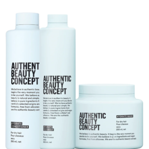 Kit Hydrate Shamp 300 + Acond 250 + Masc 250 ml